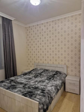 Apartment in Yerevan,Centre